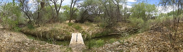 Arroyo Hondo, a tributary to Cienega Creek above La Cienega[17]