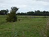 Burgh Common and Muckfleet Marshes