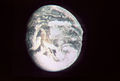 Apollo 10 TV image of Earth