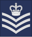 Royal Air Force[19]