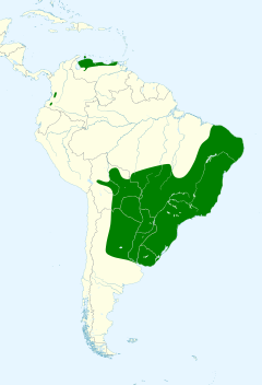 Distribuição do azulão