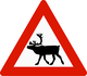 Norway reindeer crossing sign