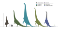 Sauropod Rearing Diagram