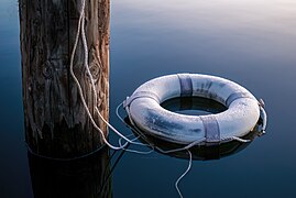 Frost-covered lifebuoy, Lake Siskiyou, California