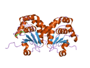 1yz4: Crystal structure of DUSP15