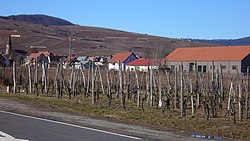 Skyline of Wettolsheim