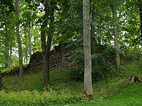 Castell de Burtnieki