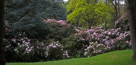 Image illustrative de l’article Bois des Moutiers