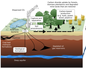 Schematic showing both terrestrial and geological sequestration of carbon dioxide emissions from a coal-fired plant