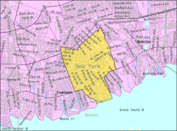 U.S. Census map