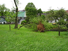 Sturmschäden am 20. Mai 2006 in Peppinghausen