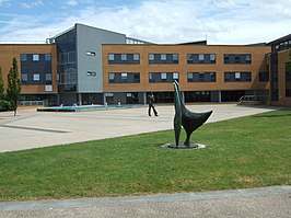 School of Management, University of Surrey