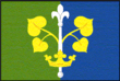 Vlag