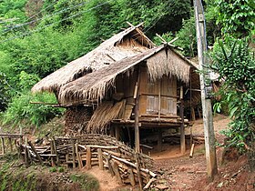 タイ北部チエンラーイ県のアカ族の竹造住居（千木と鰹木がある）