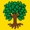 Flag of Gros-de-Vaud District