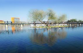 Panorámica del Parque Central Poniente