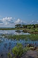 Partial view of Prokopos Lagoon.