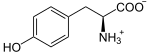 L-Tirosin