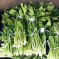 Nozawana sold in bundles