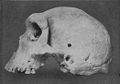 Image 16Skull of Broken Hill Man discovered in present-day Kabwe. (from History of Zambia)