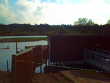 The lakeside hide, which gives an excellent view of the lake, especially the central island, which is visited by a vast range of species.