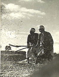 Para petani di dekat Bayt Jirja sedang memanen gandum pada 1940