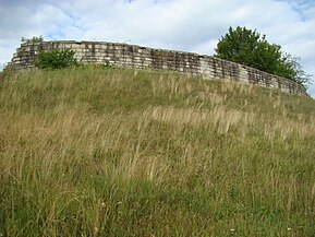 Ansamblul fortificat Dăbâca