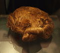 Hair of Dätgen Man, 135–385 AD, found in Germany