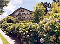 Le traditionnel Hôtel de las Hortensias