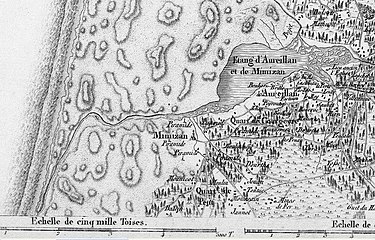 Extrait de la carte de Cassini (feuille n° 137) vers 1780, représentant Mimizan.