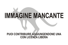 Immagine di Phalanger sericeus mancante