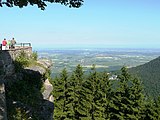 Vue sur la plaine depuis le mont Sainte-Odile. En bas au milieu des sapins l'hôtel Saint-Jacques et à droite l'abbaye en ruines de Niedermunster cachée par les arbres.