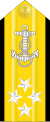 上将