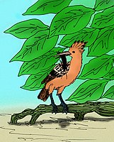 Giant Hoopoe