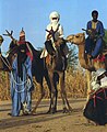 Tuareg, Niqir