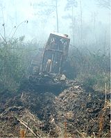 Plowing a control line in advance of a wildfire, Georgetown, South Carolina