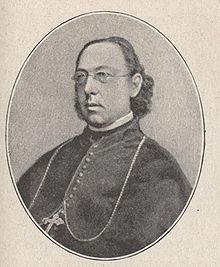 Kardinal Hergenröther3JS.jpg