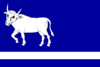 Flag of Dlouhá Stráň