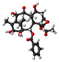 10-Deacetylbaccatin III molecule