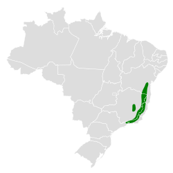 Distribución geográfica del hormiguero brasileño.