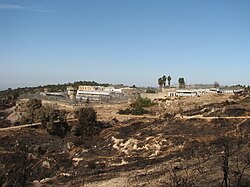 Damon prison, 2010