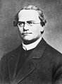 Gregor Mendel (1822-1884)