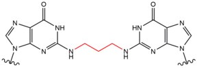 Structure describing a DNA crosslink by a malondialdehyde.