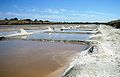 Saliny na Île de Ré