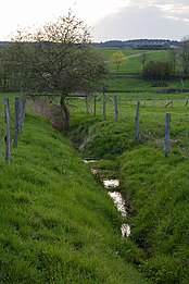 Paul Isenrath, Wasser, 1994, 45 × 15–150 × 600 cm, Eisen verzinkt, Hangwasser. Standort: im Tal (Skulpturenpark) zwischen Hasselbach und Werkhausen