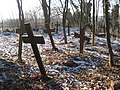 Cruces nel cementeriu históricu de Przyborze.