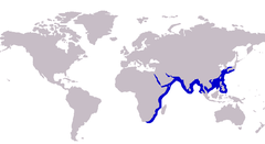 Approximate range of the cleftbelly trevally