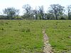 Bucknell Wood Meadows