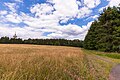 Blickrichtung Nord mit dem Fernmeldeturm Höllberg (Nördlicher Bereich)