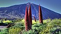 Teide, Tenerife